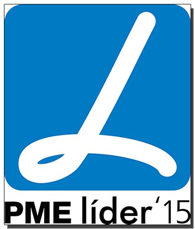 20 conceitos chave sobre as PME Líder 2015